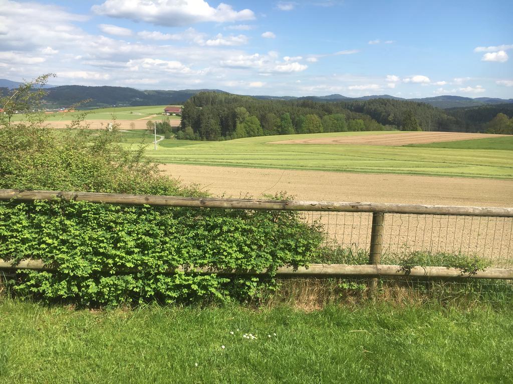 Апарт-отель Apartmentanlage Am Kellerberg Цандт